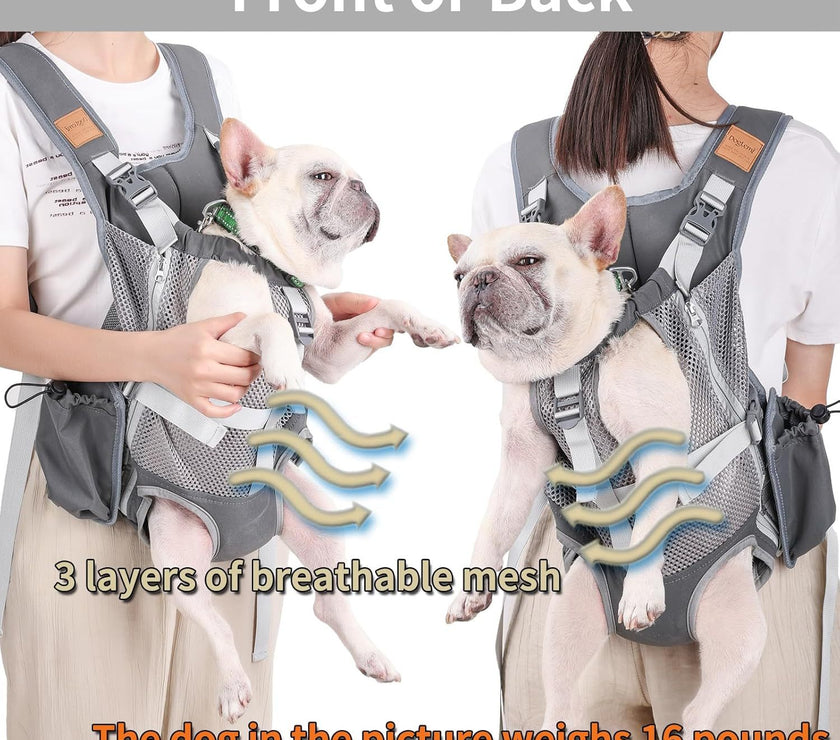 Portable Breathable Cat Pet Carrier Backpack For Outdoor Activities Large Capacity Expandable Cat Cage