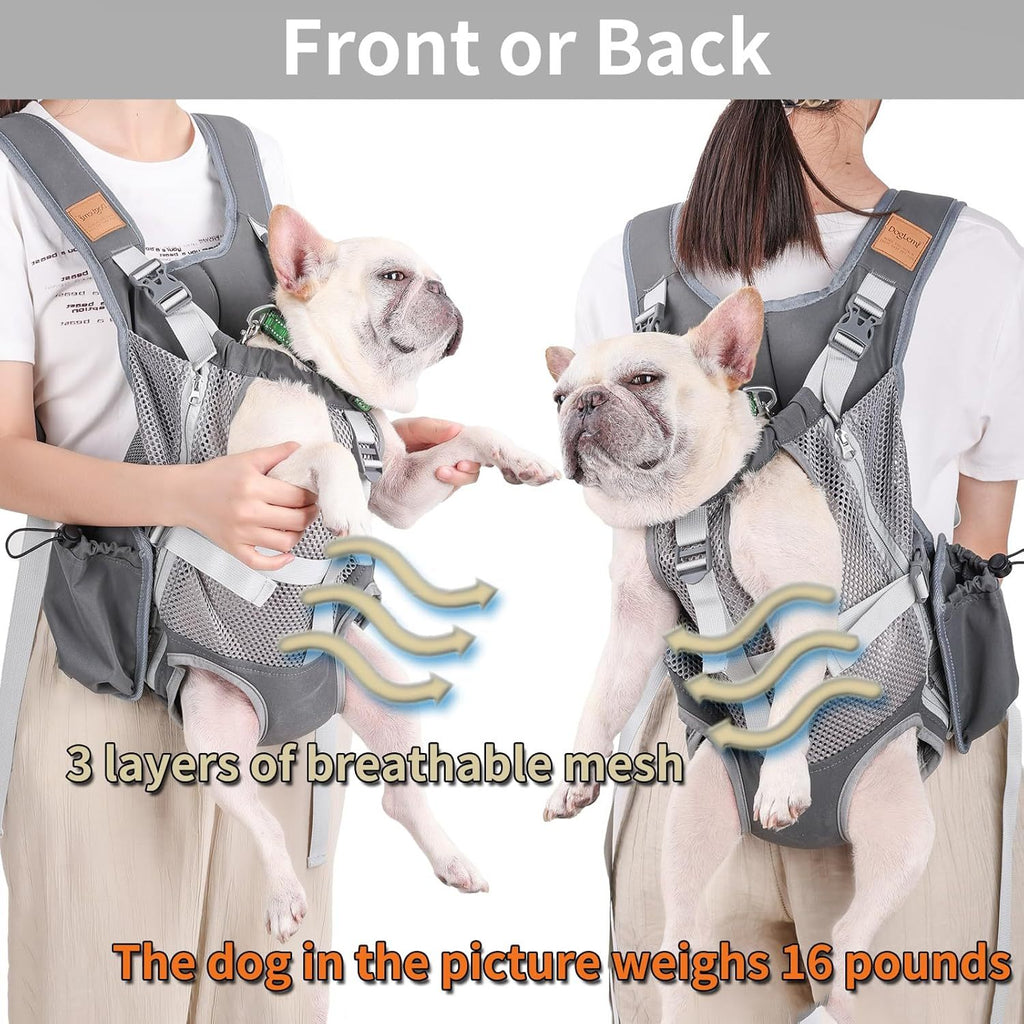 Portable Breathable Cat Pet Carrier Backpack For Outdoor Activities Large Capacity Expandable Cat Cage