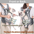 Portable Breathable Cat Pet Carrier Backpack For Outdoor Activities Large Capacity Expandable Cat Cage
