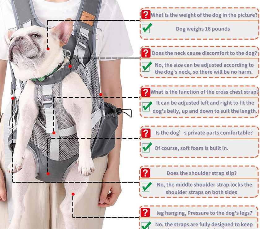 Portable Breathable Cat Pet Carrier Backpack For Outdoor Activities Large Capacity Expandable Cat Cage
